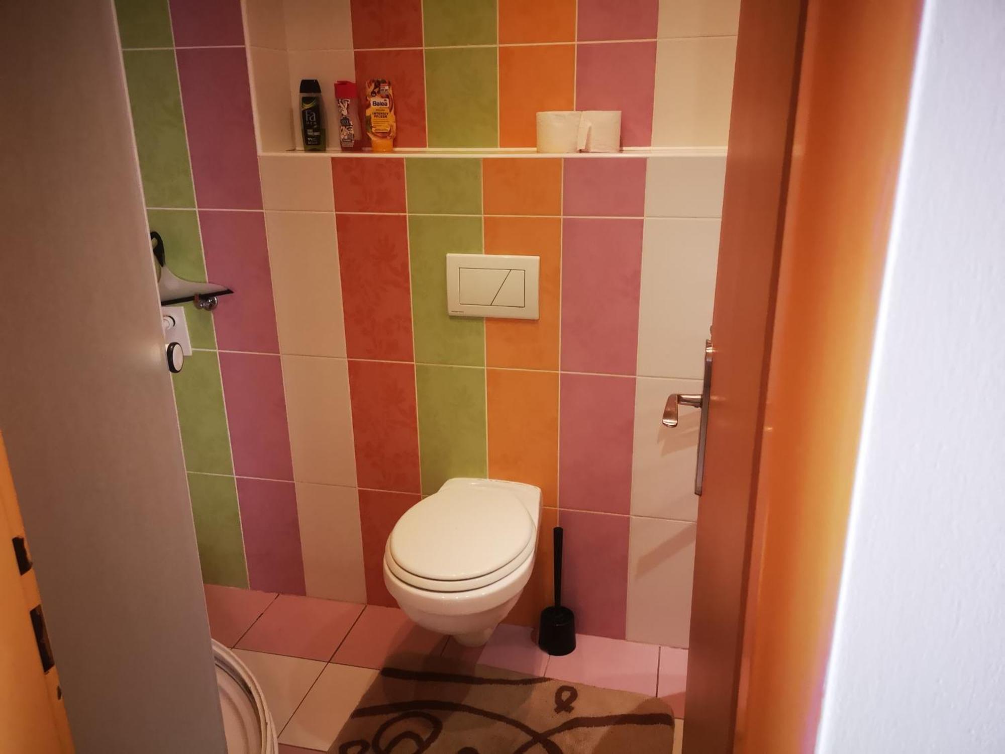 Green Apartments Lustenice 객실 사진