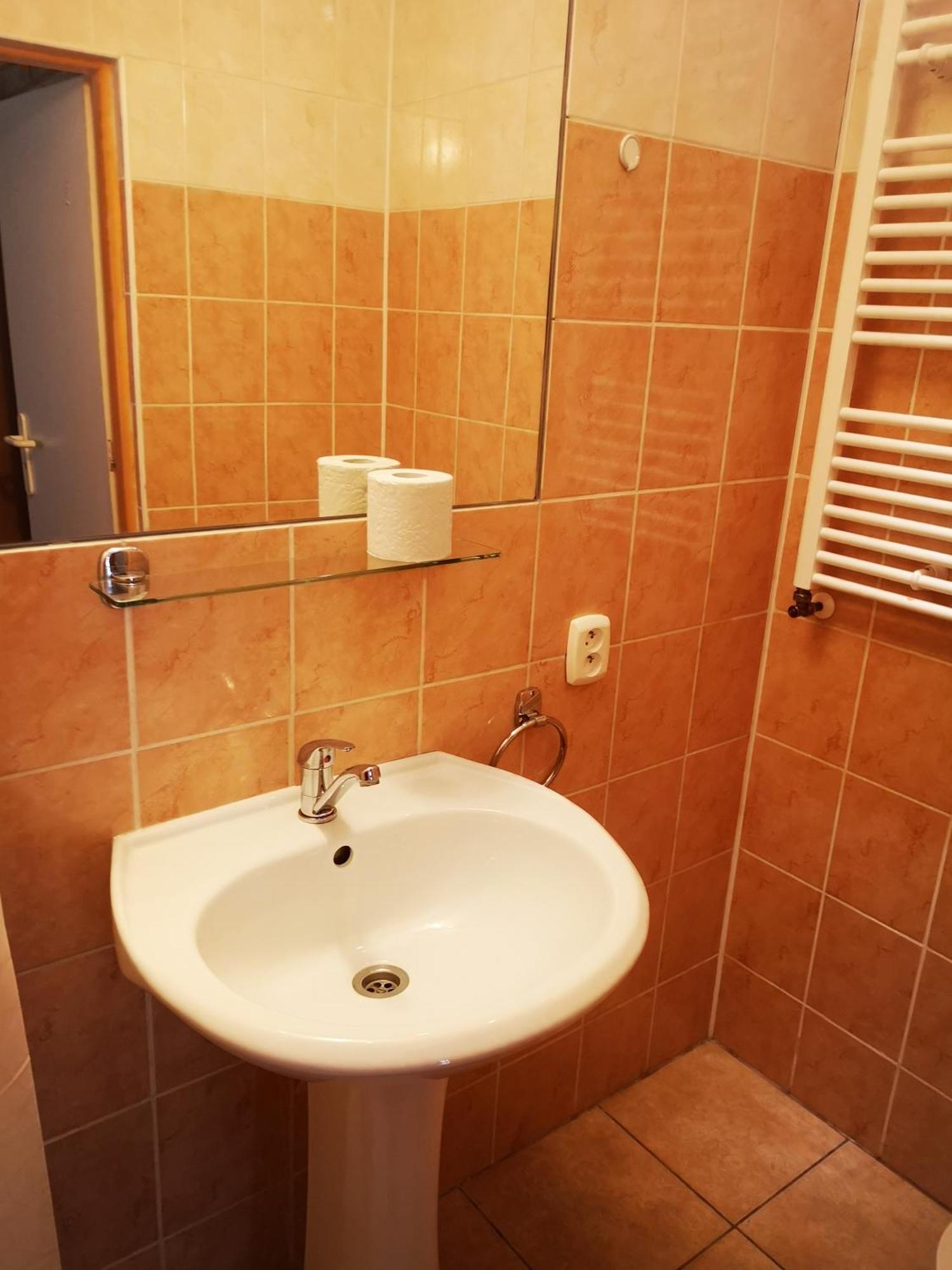 Green Apartments Lustenice 객실 사진
