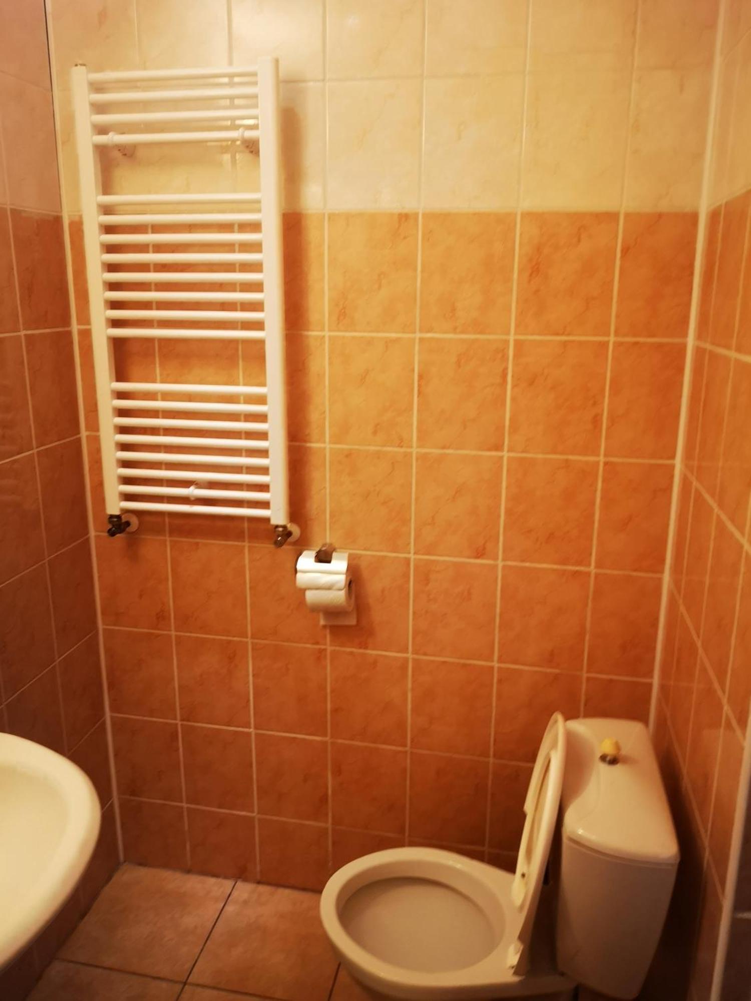 Green Apartments Lustenice 객실 사진